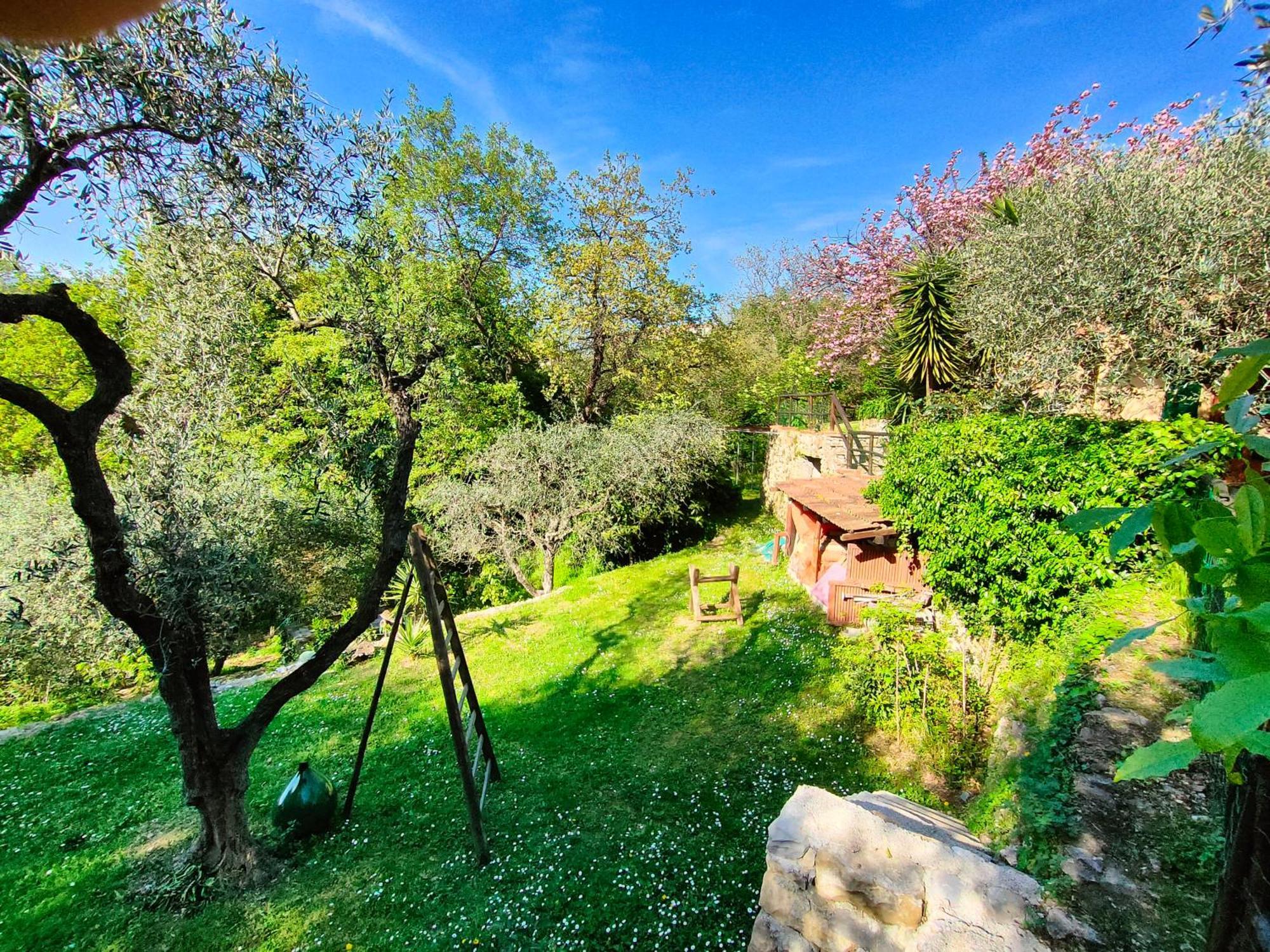 Bed and Breakfast L'Uliveto D'Argento Finale Ligure Exteriér fotografie