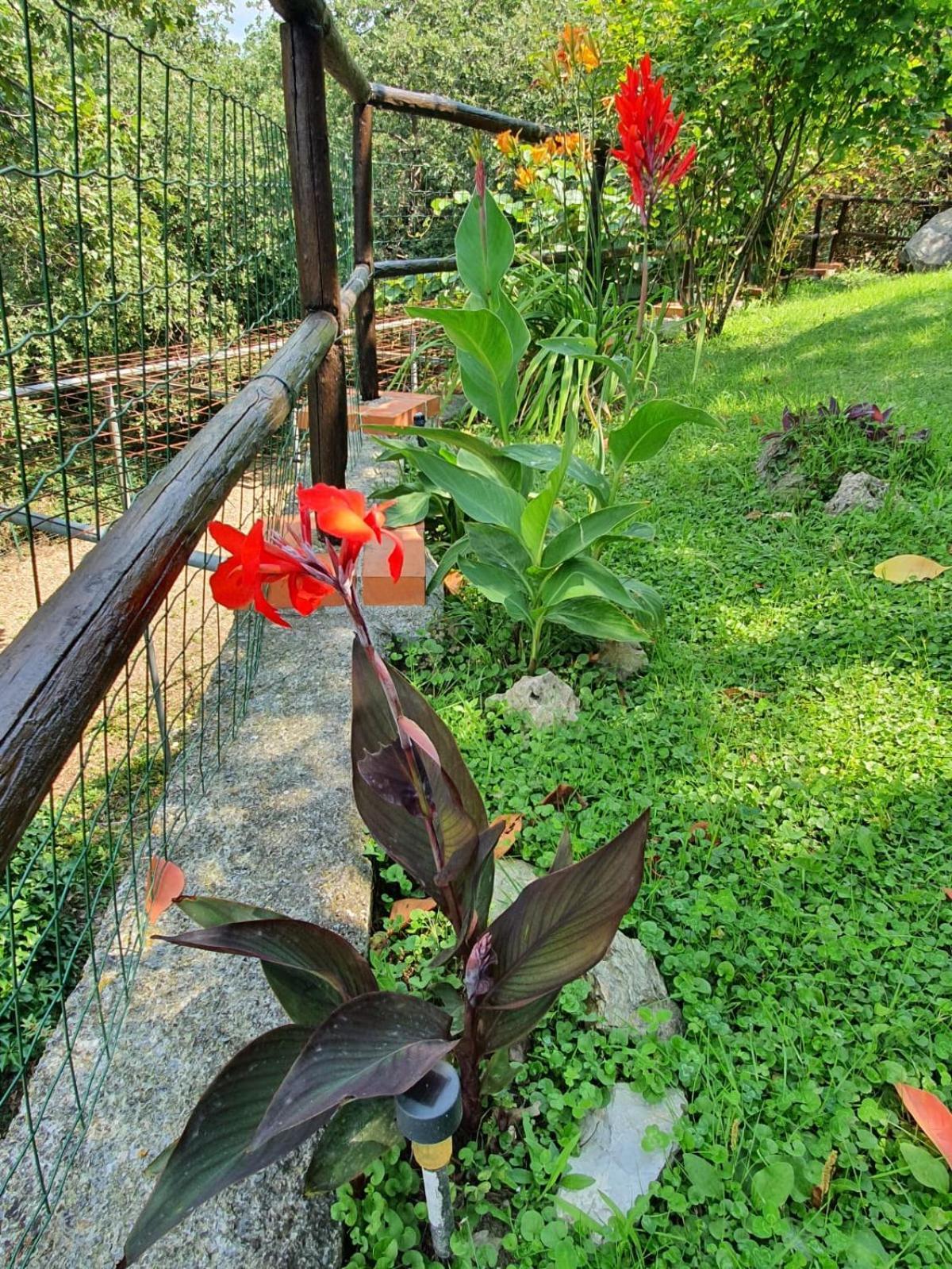 Bed and Breakfast L'Uliveto D'Argento Finale Ligure Exteriér fotografie