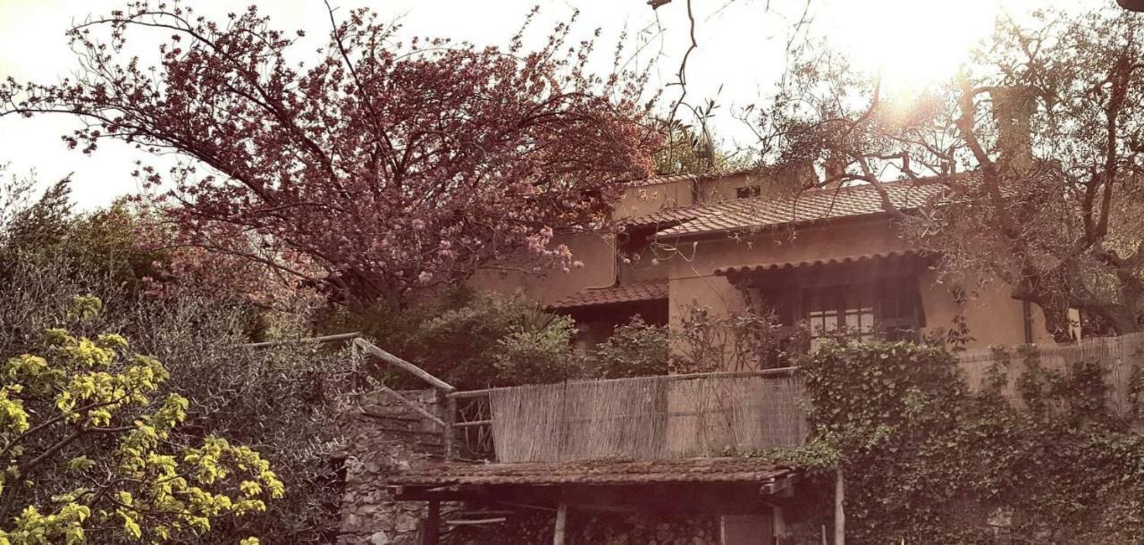Bed and Breakfast L'Uliveto D'Argento Finale Ligure Exteriér fotografie