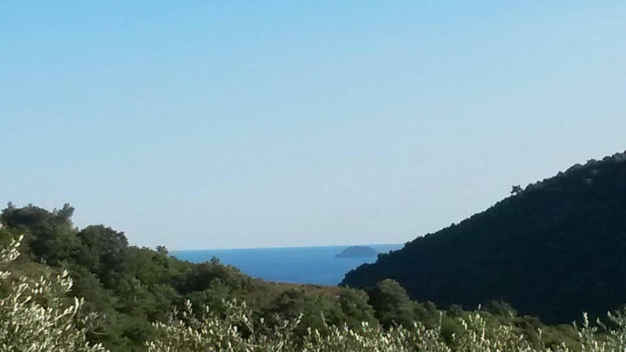 Bed and Breakfast L'Uliveto D'Argento Finale Ligure Exteriér fotografie